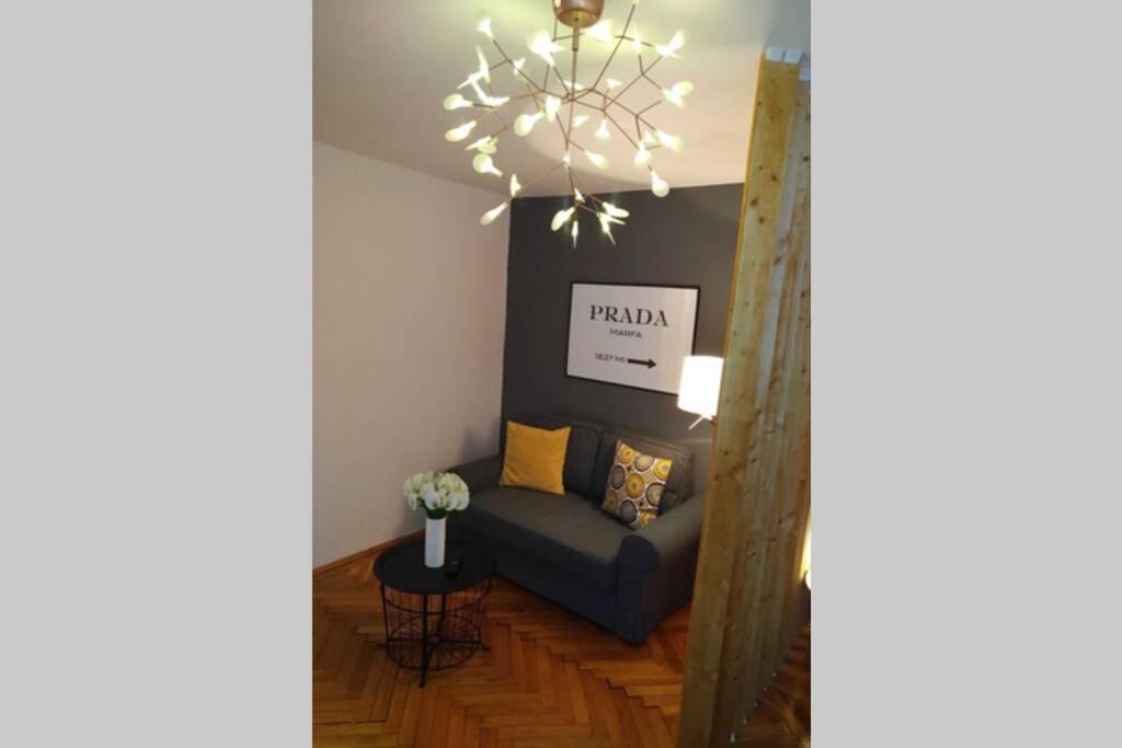 Art & Design Apt - City Center ティミショアラ エクステリア 写真